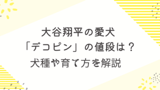 大谷翔平　犬　デコピン　値段